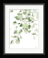 Cascading Branches I Framed Print