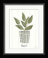 Herb Garden VII Framed Print