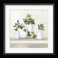 Plant Life III Fine Art Print