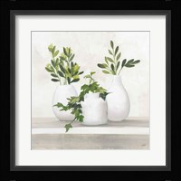 Plant Life II Fine Art Print