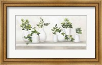 Plant Life Fine Art Print