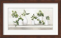 Plant Life Fine Art Print