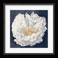 Serene Peony Navy Fine Art Print