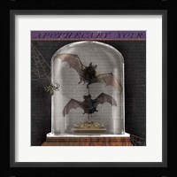 Apothecary Noir IV Fine Art Print