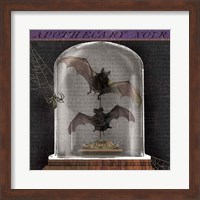 Apothecary Noir IV Fine Art Print