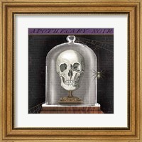 Apothecary Noir III Fine Art Print