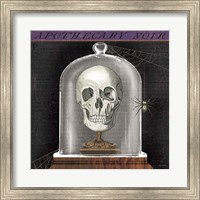 Apothecary Noir III Fine Art Print