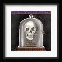 Apothecary Noir III Framed Print