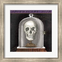 Apothecary Noir III Fine Art Print