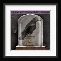 Apothecary Noir I Framed Print