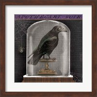 Apothecary Noir I Fine Art Print