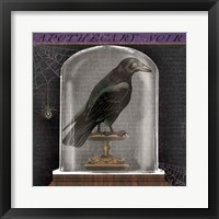 Apothecary Noir I Framed Print