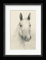 Romeo on Cream Fine Art Print