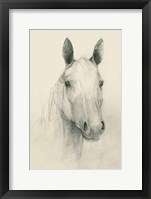 Romeo on Cream Fine Art Print