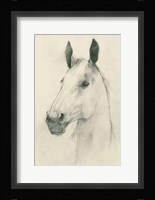 Caesar on Cream Fine Art Print