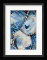 Matununk Shells Light Fine Art Print