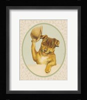 Dog with Hat II Framed Print
