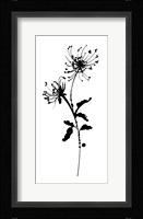 Silhouette Floral IV Framed Print
