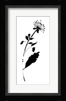Silhouette Floral III Framed Print