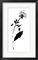 Silhouette Floral III Fine Art Print