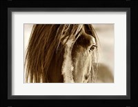 Amante Fine Art Print