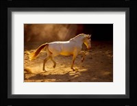 Dancing In The Light Fine Art Print