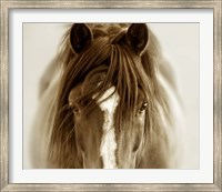 Ghost Horse Fine Art Print