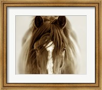 Ghost Horse Fine Art Print