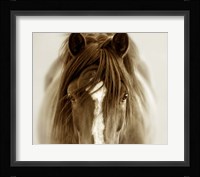 Ghost Horse Fine Art Print