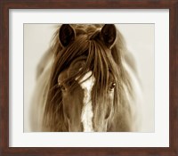 Ghost Horse Fine Art Print