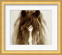 Ghost Horse Fine Art Print