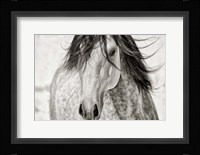 My Beautiful Mane Fine Art Print