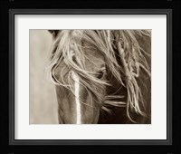 Wind Knots Fine Art Print