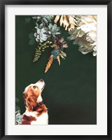 Pet Couture 1 Fine Art Print