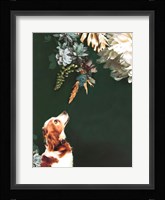 Pet Couture 1 Framed Print