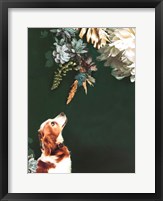 Pet Couture 1 Framed Print
