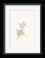 Tropical Window 1 Fine Art Print