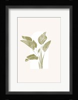 Tropical Window 2 Fine Art Print