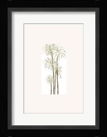 Tropical Window 3 Fine Art Print