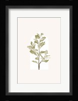 Tropical Window 4 Fine Art Print