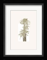 Tropical Window 5 Fine Art Print