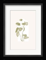 Tropical Window 6 Fine Art Print