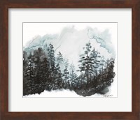 Blue Pine Forest I Fine Art Print