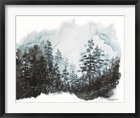 Blue Pine Forest I Fine Art Print