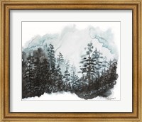 Blue Pine Forest I Fine Art Print