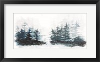 Blue Pine Forest II Fine Art Print