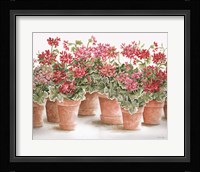 Potted Geranium Mix I Framed Print