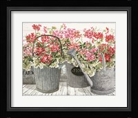 Potted Geranium Mix II Fine Art Print