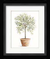 Topiary II Fine Art Print
