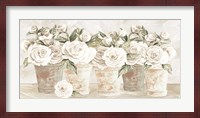 Potted Roses Fine Art Print